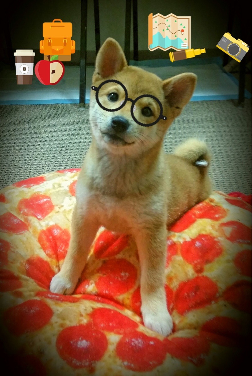 中美蝶泳200米赛事节奏谱分析,200米蝶泳中国