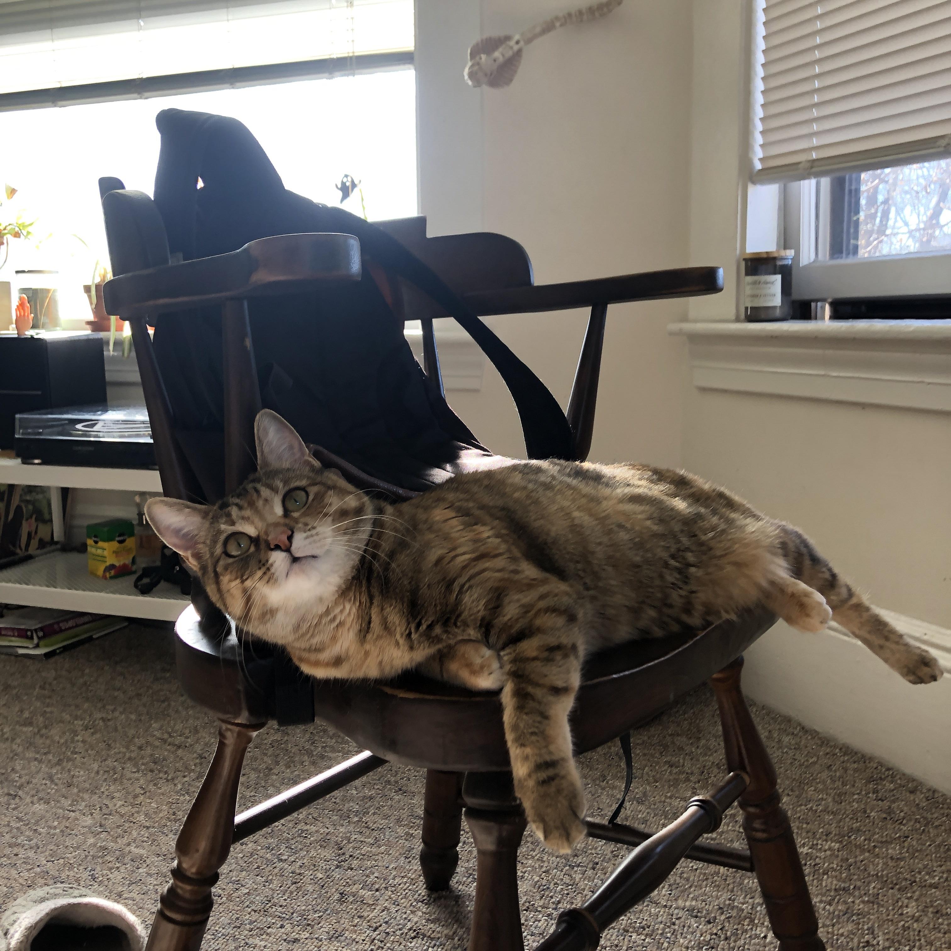 开云体育娱乐-广东队通过高位挡拆频繁制造得分机会，广东队战术集锦