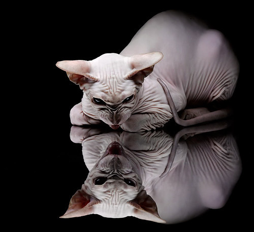 恩波利围绕核心组织构建进攻体系，恩波利队