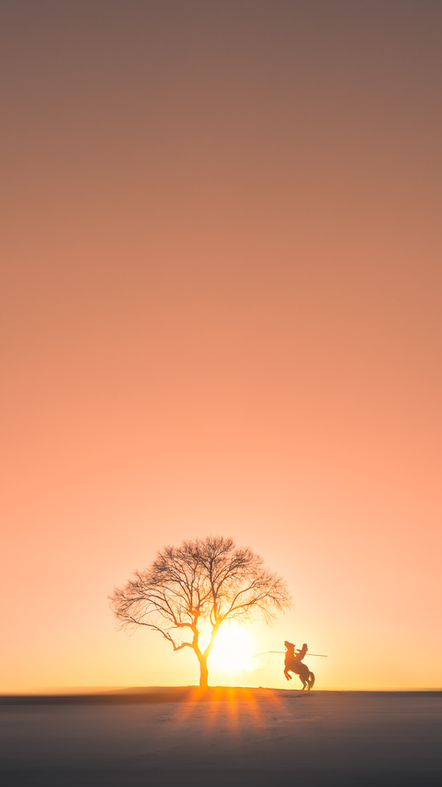 开云体育在线官网-男子100米自：爆发力与速度的较量，男子100米达标