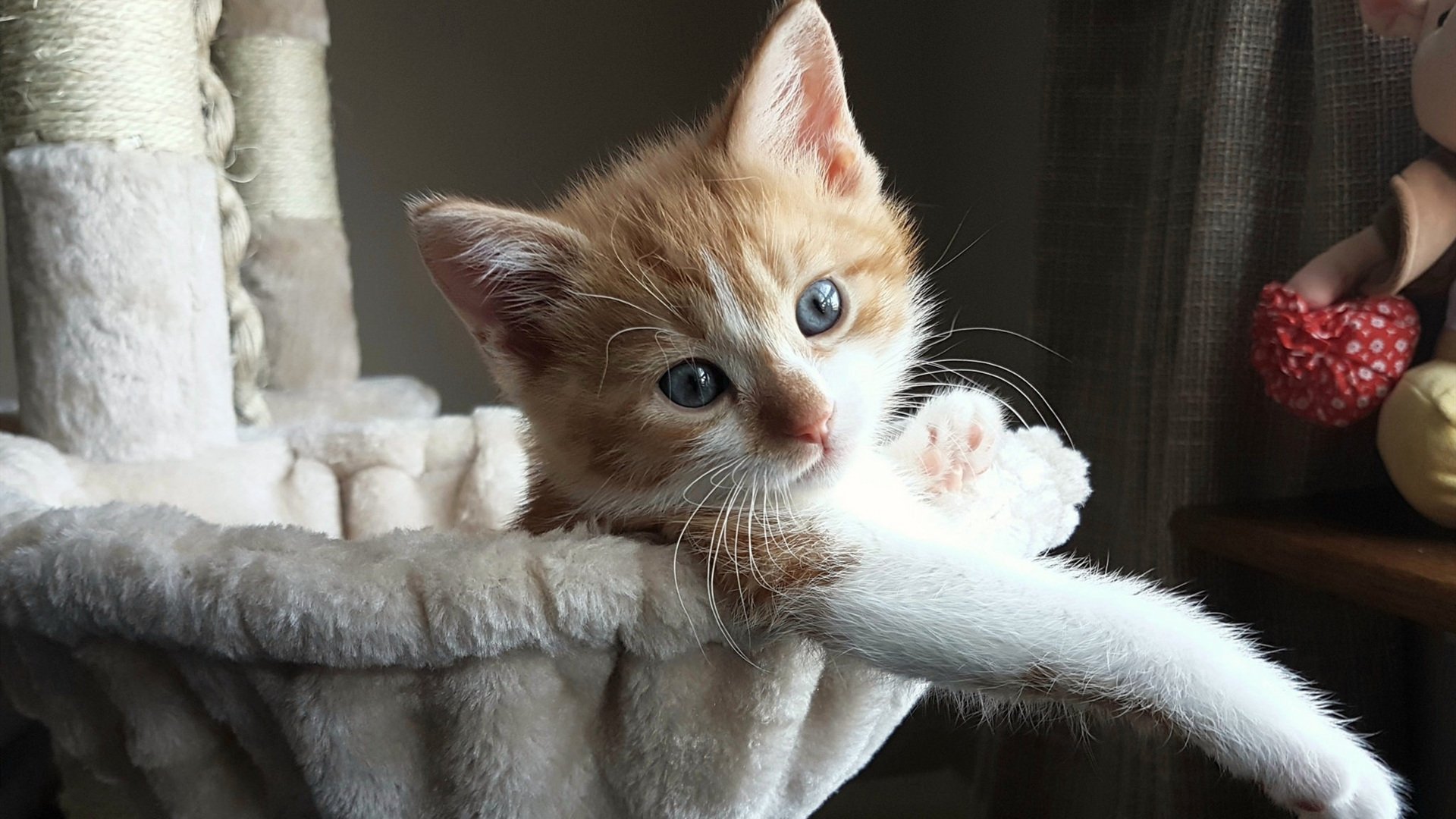 中国足球职业俱乐部推广队内知识竞赛激励,足球知识竞赛活动方案