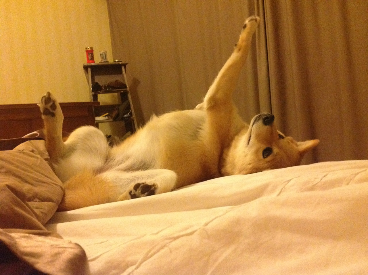 开云体育在线-公牛核心球员个人集锦登上热搜，公牛队核心