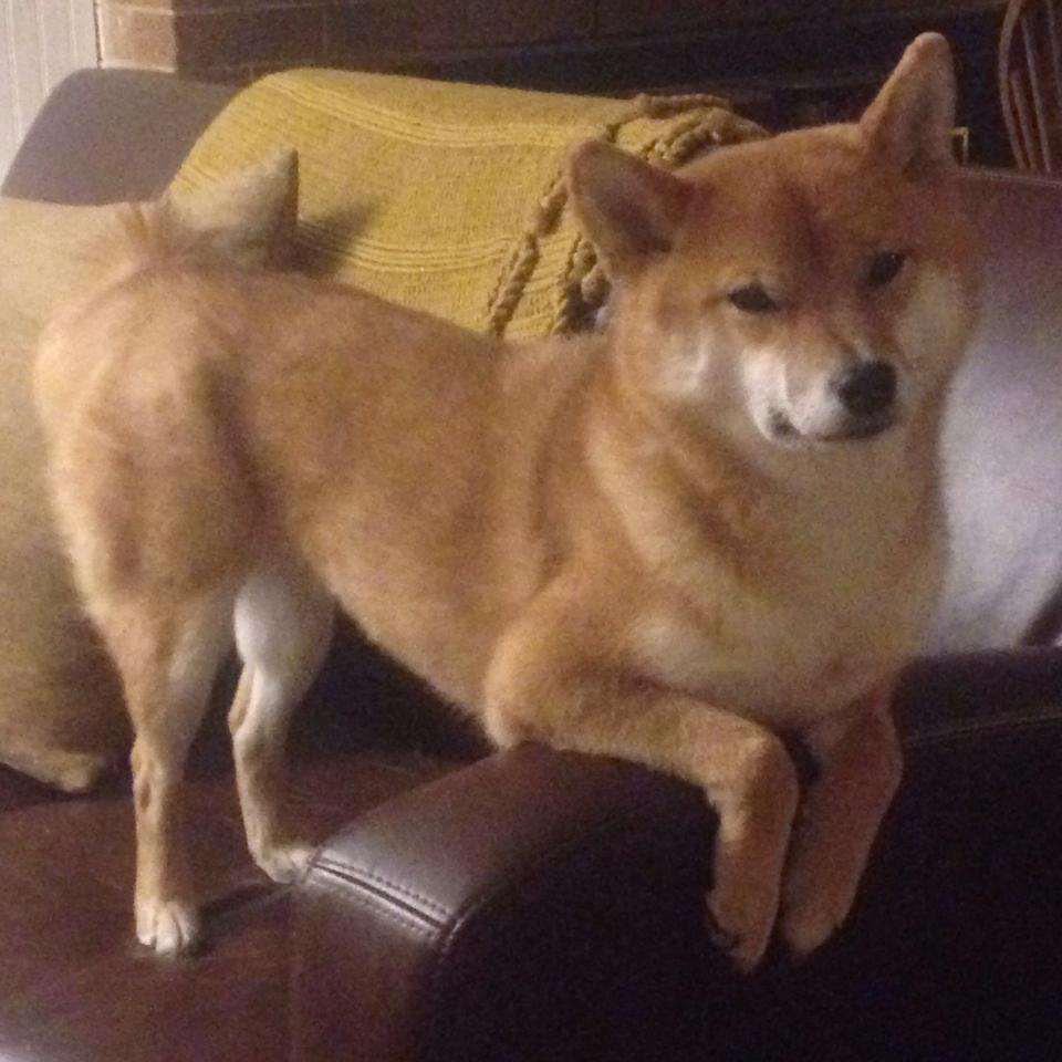 开云体育官网-德甲快节奏反击：瞬间突入，赢得满堂彩！，德甲对抗