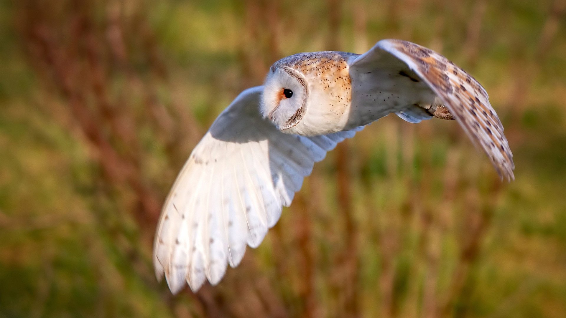 新闻中心通报体育赞助商变更信息及协议内容,体育活动赞助商