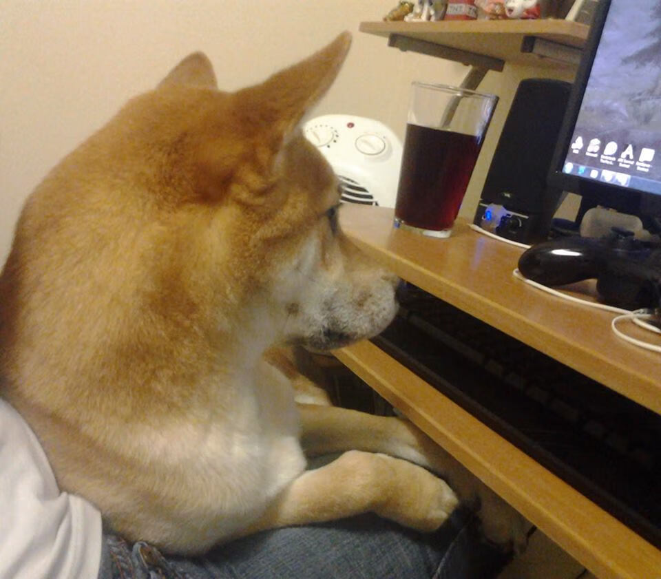 开云体育网站-球迷行为准则出台，赛场秩序进一步规范，球迷行为准则出台,赛场秩序进一步规范是什么