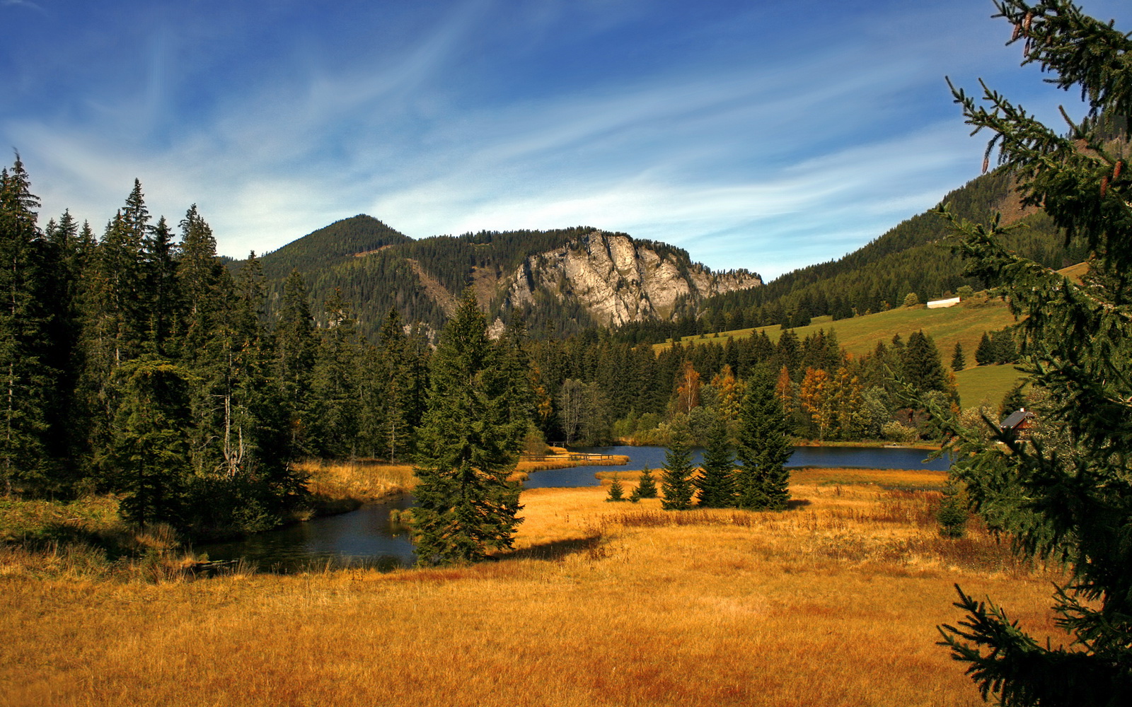 篮球俱乐部战略调整解析,篮球俱乐部行业分析