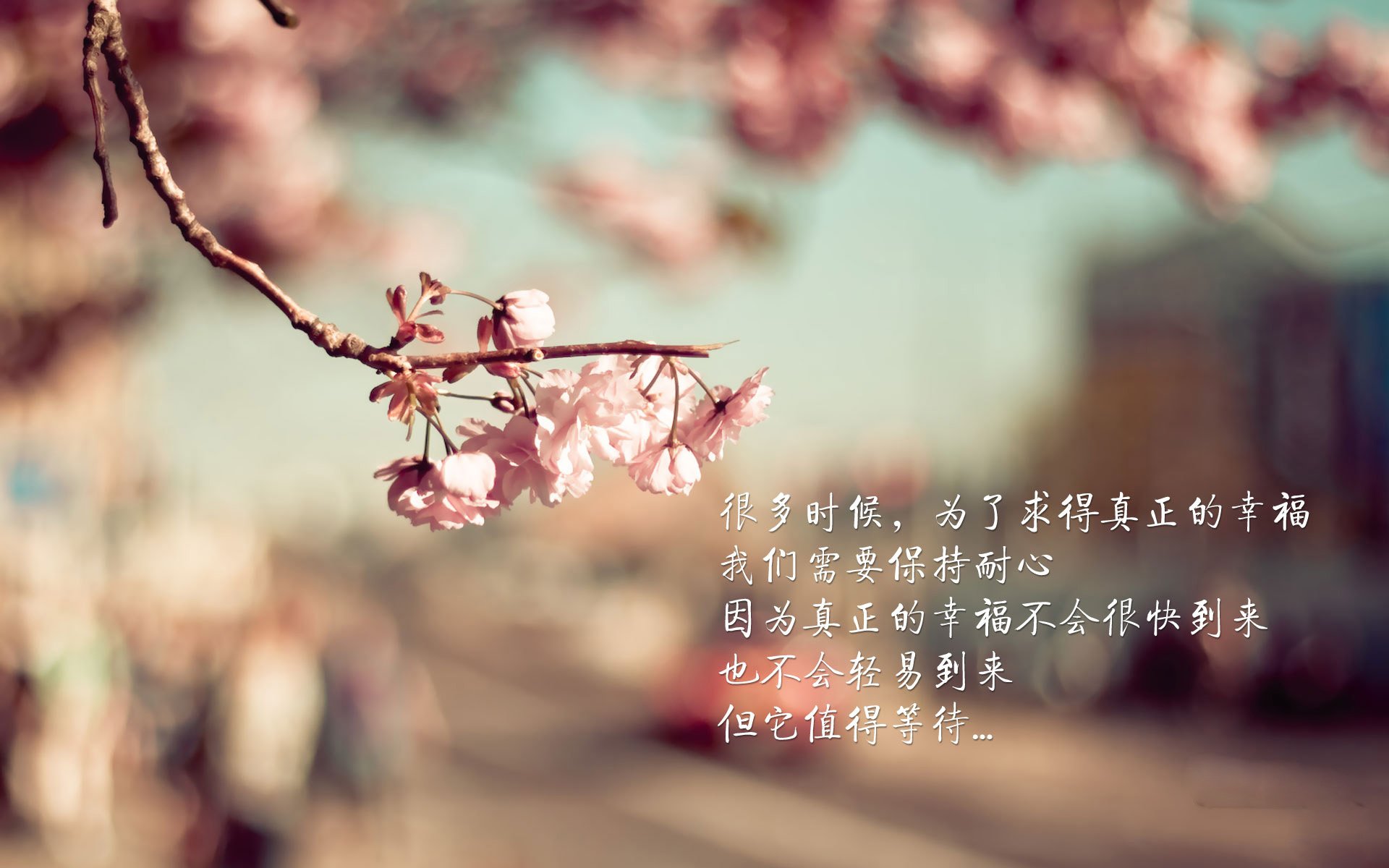 开云体育登录-篮球青训中心运营模式创新引入企业赞助与赛事激励机制，篮球俱乐部青训营