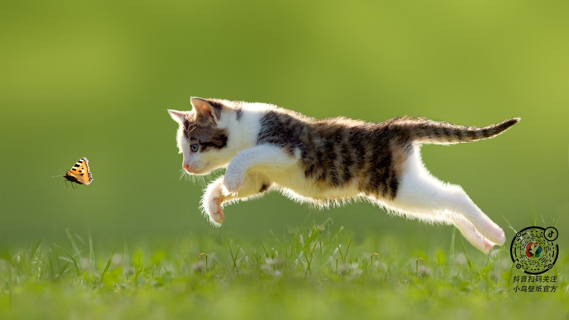 英超冲刺激烈:冠军悬念逐步拉开!,英超逆袭夺冠